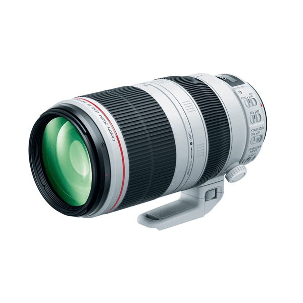 Canon EF 100-400mm f/4.5-5.6L IS II USM