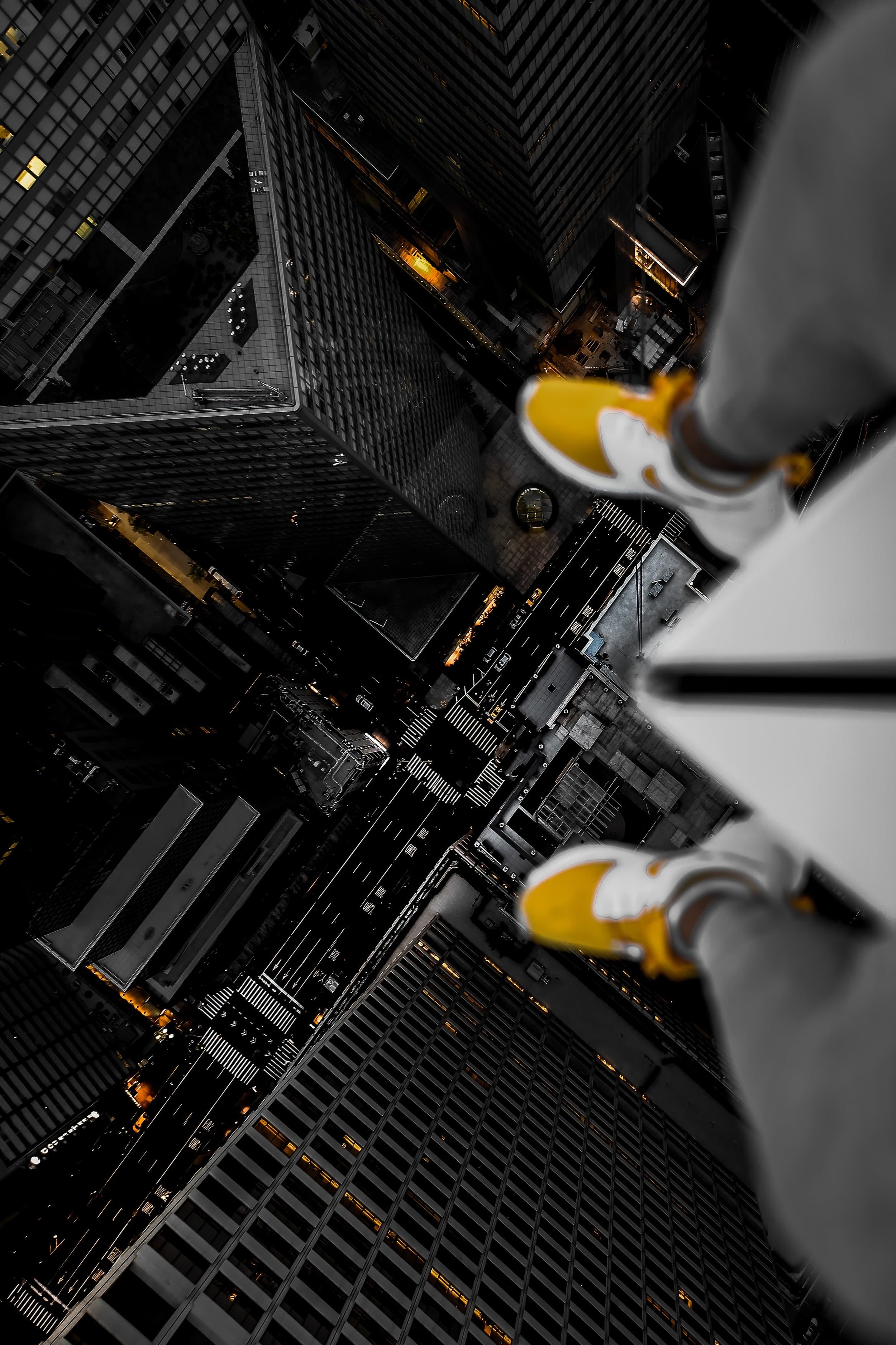 Above the concrete jungle