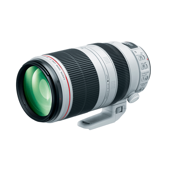 Canon EF 100-400mm f/4.5-5.6L IS II USM