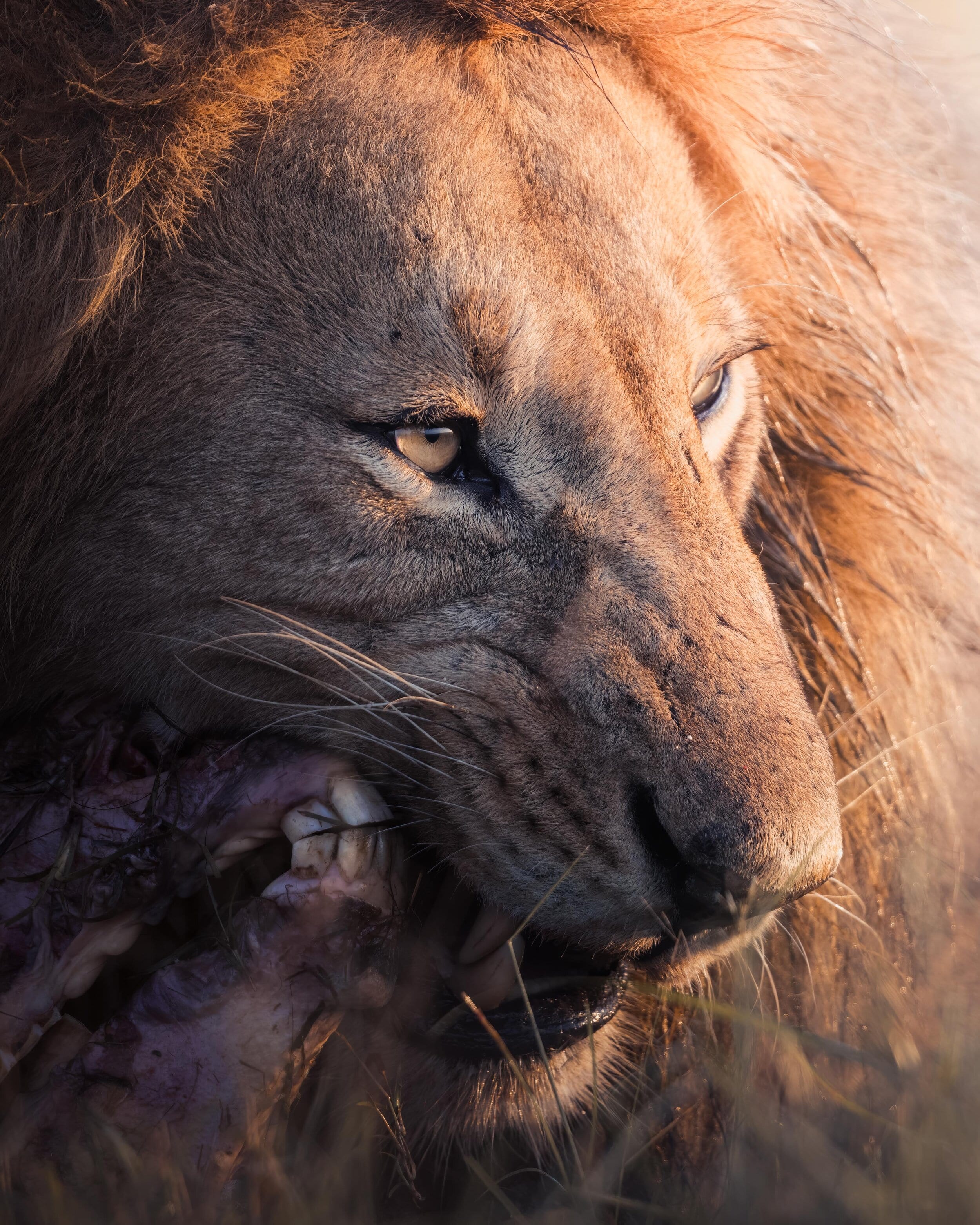 Moniko Pride male